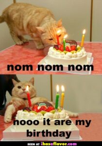 nom-nom-nom